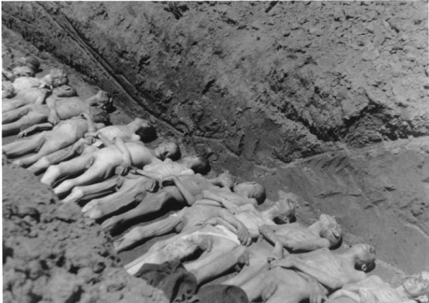 Victms of Mauthausen in a mass grave
